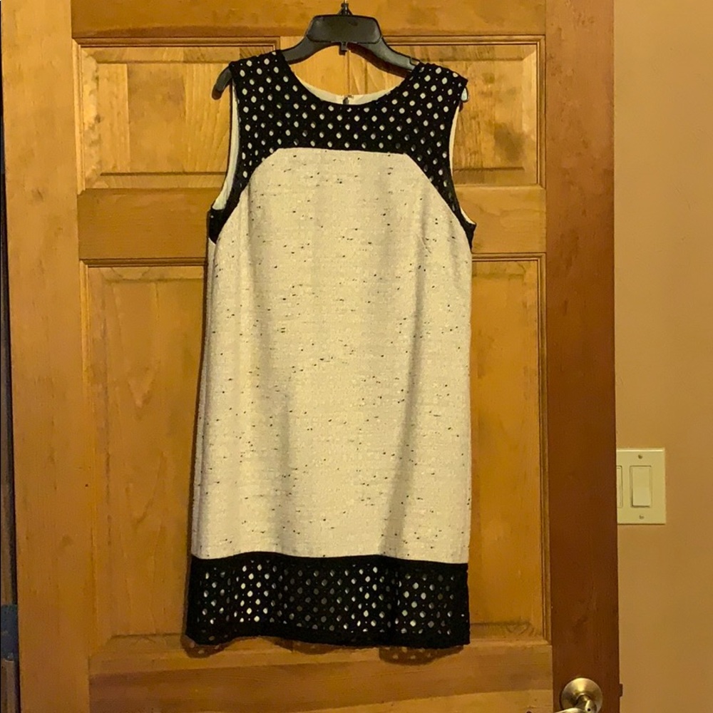 Ann Taylor Shift Dress